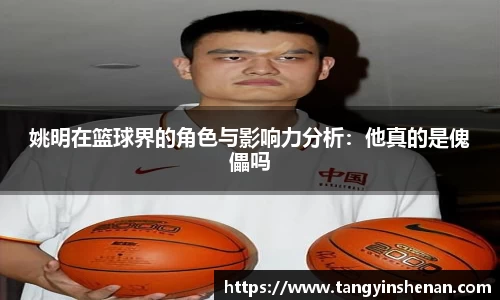 姚明在篮球界的角色与影响力分析：他真的是傀儡吗