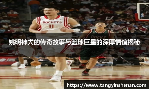 姚明神犬的传奇故事与篮球巨星的深厚情谊揭秘