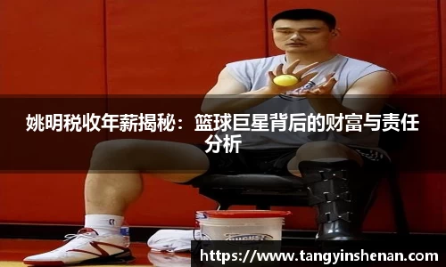 姚明税收年薪揭秘：篮球巨星背后的财富与责任分析